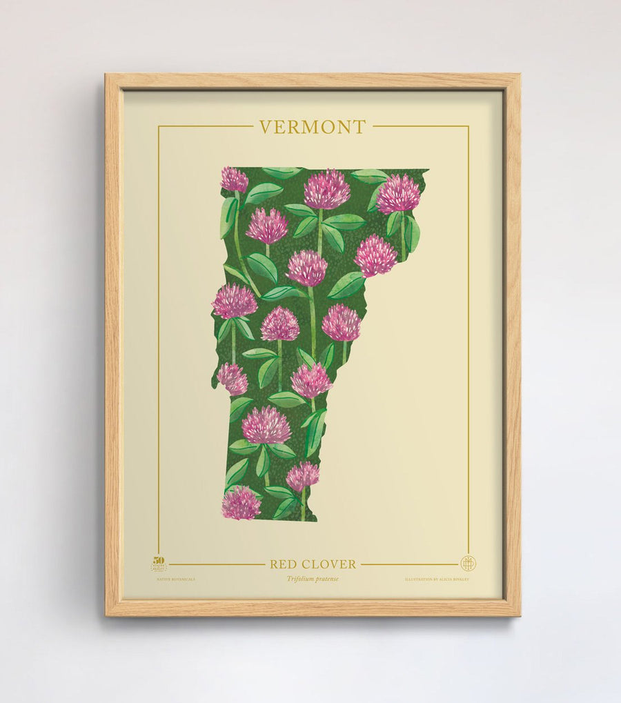 Vermont Native Botanicals Print