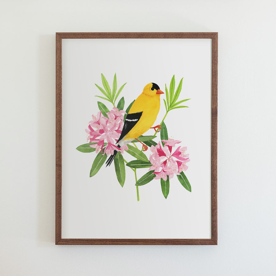 Washington Willow Goldfinch Print