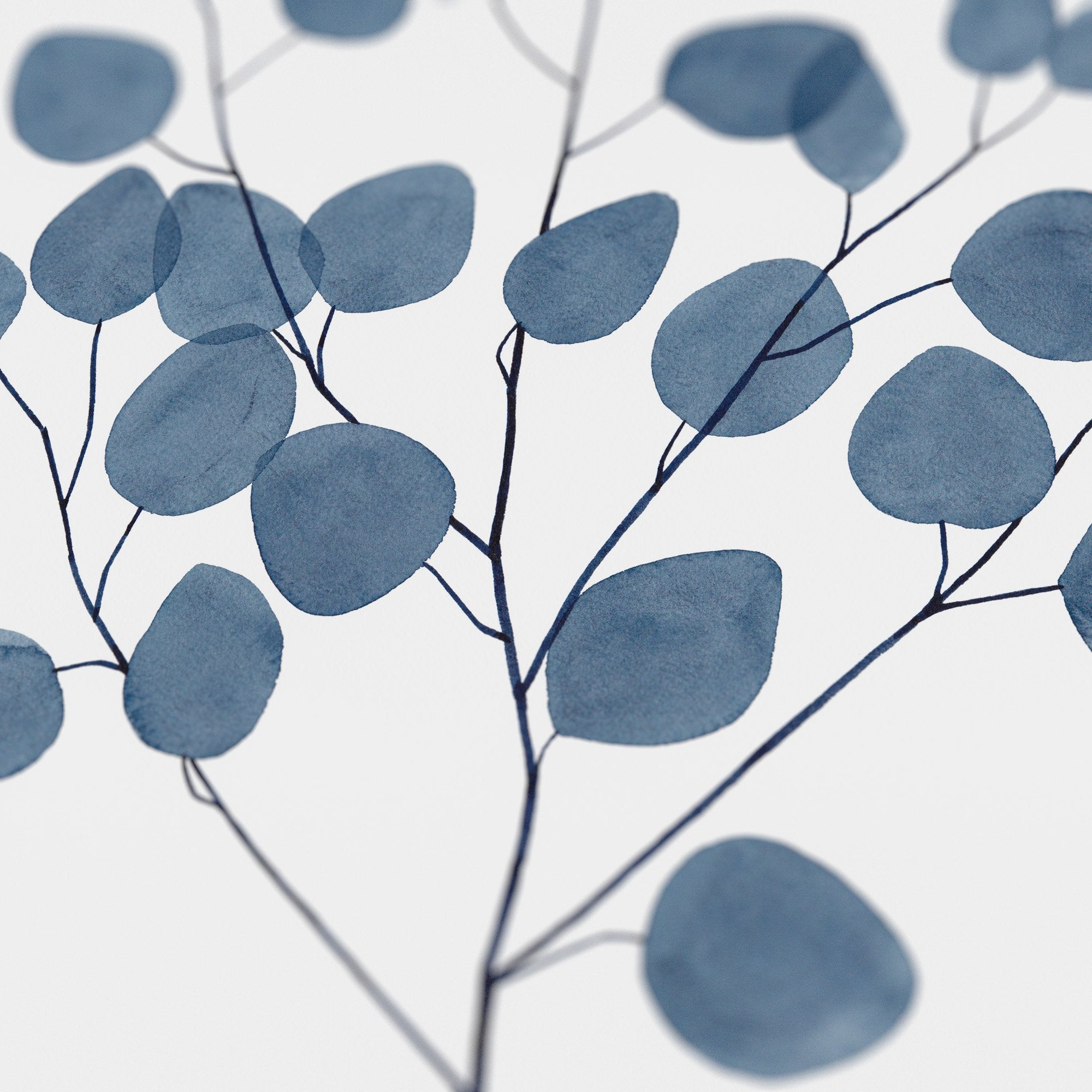 Winter Eucalyptus Print