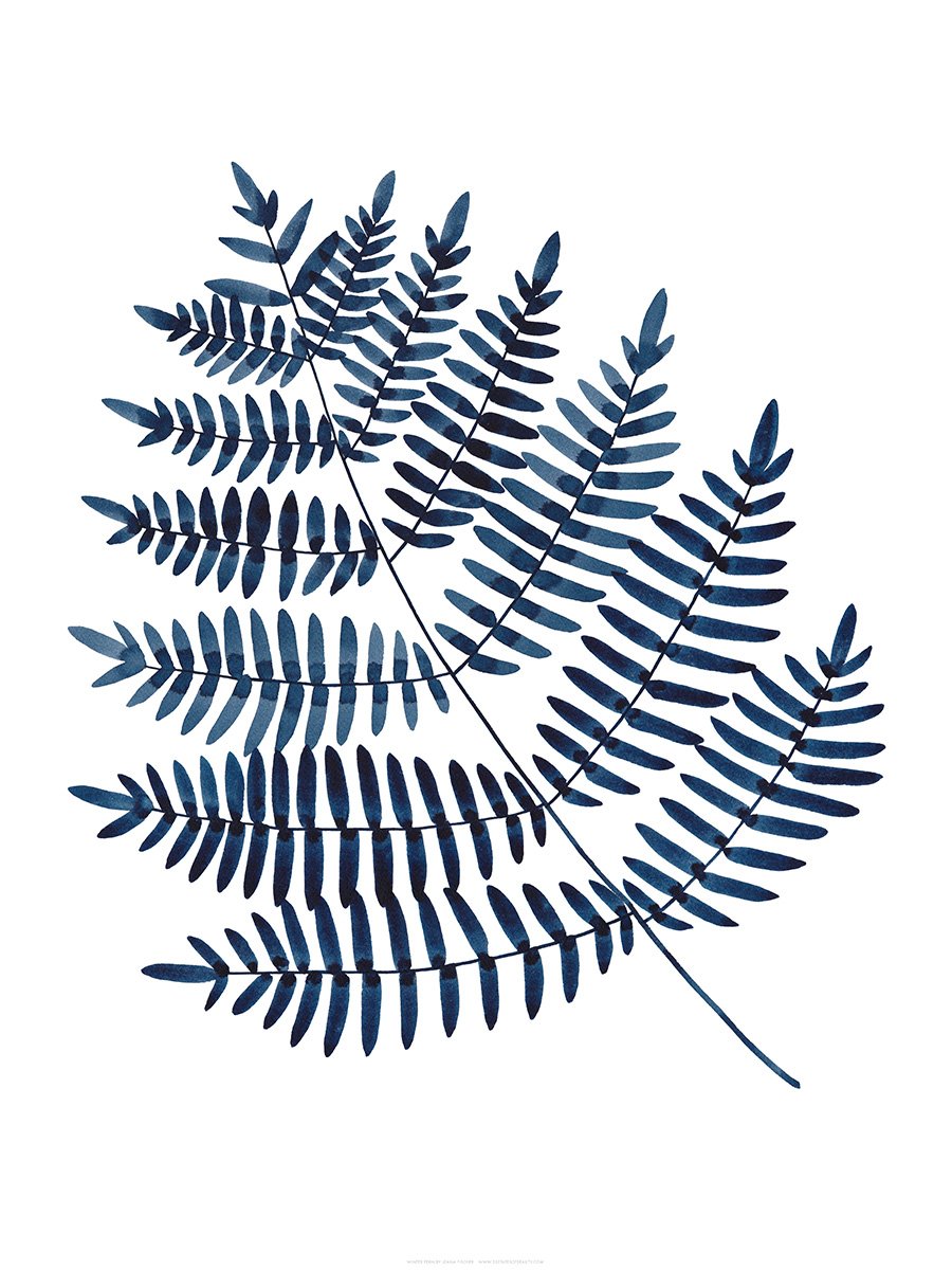 Winter Fern Print
