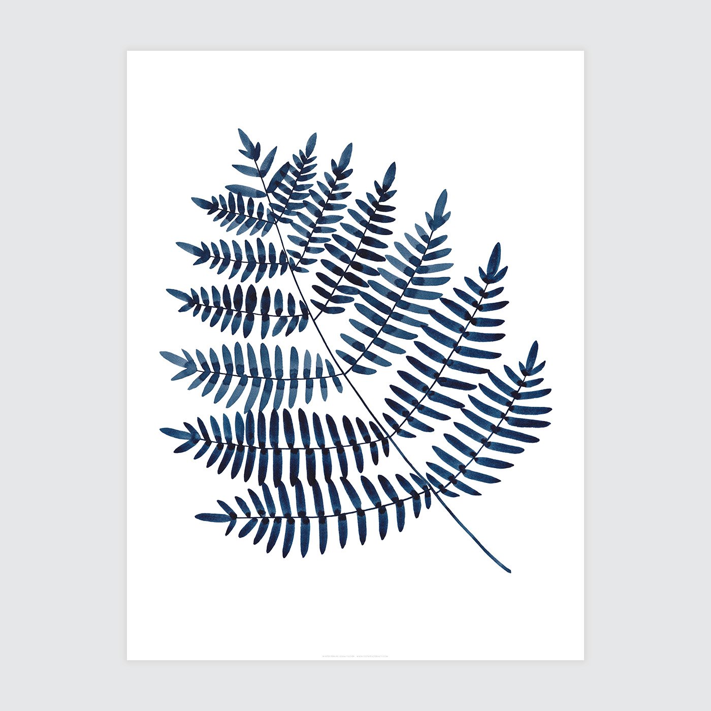 Winter Fern Print