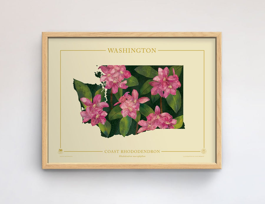 Washington Native Botanicals Print
