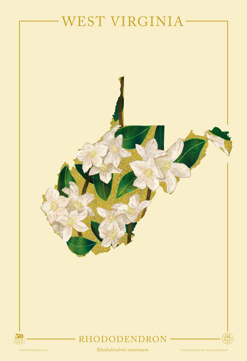 West Virginia Native Botanicals Print