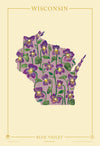 Wisconsin Native Botanicals Print